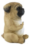 Ebros Feisty Pooch Rude Fat Pug Puppy Dog Flipping The Bird Figurine Guest Greeter