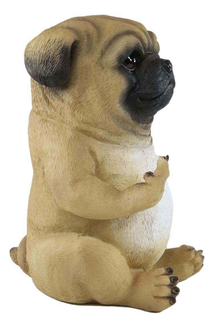 Ebros Feisty Pooch Rude Fat Pug Puppy Dog Flipping The Bird Figurine Guest Greeter