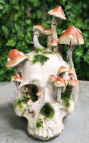 Day Of The Dead Toadstool Mushrooms And Moss Fungi Gothic Skull Figurine