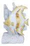 Nautical Sea Coastal Marine Angelfish Fishes Swimming By Corals Bookends Pair