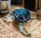 Ebros Nautical Blue Shell Sea Turtle Decorative Resin Statue in Glossy Finish