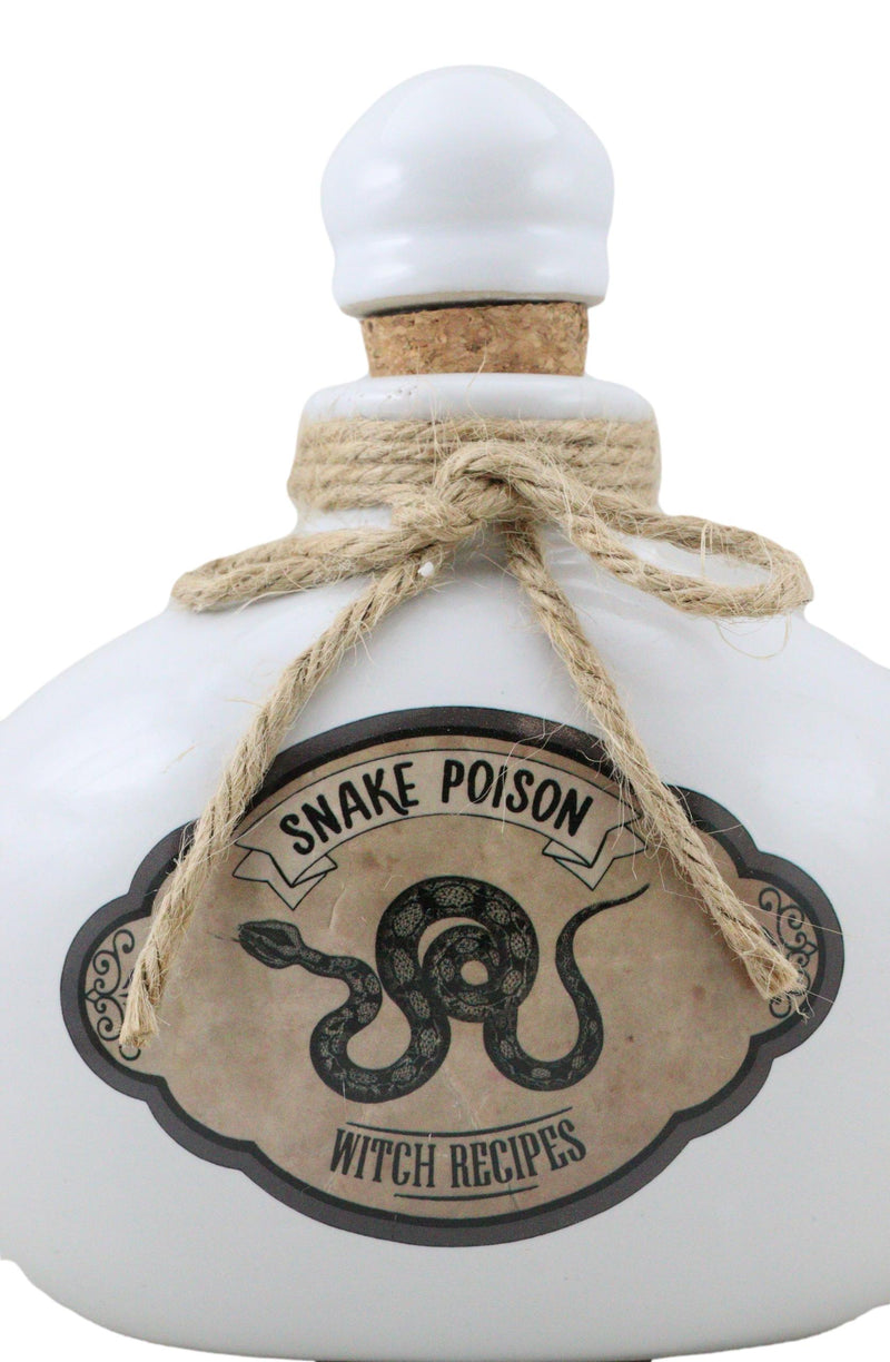 Ceramic Serpent Snake Poison Witch Recipes Mad Doctor Poison Prop Potion Bottle