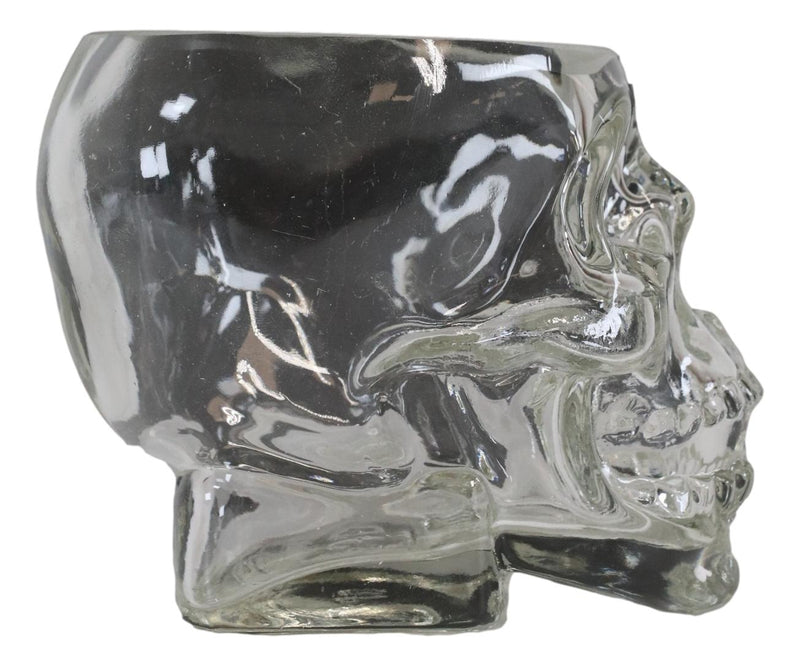 Ebros PACK OF 4 Skeleton Skull Glass Bowl Drink Stationery Office Holder