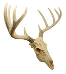 Ebros Rustic Hunter Rack Deer Skull Antler Wall Plaque Decor 10 Point Buck Figurine