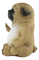 Ebros Feisty Pooch Rude Fat Pug Puppy Dog Flipping The Bird Figurine Guest Greeter