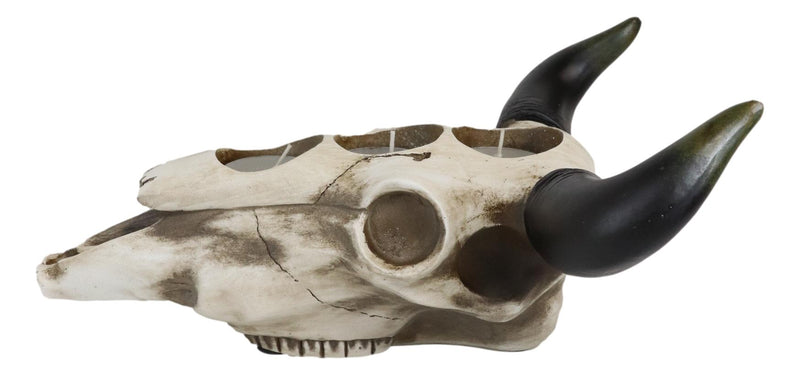 Western Steer Bull Cow Skull Decorative 3 Tea Light Votives Candle Holder Decor