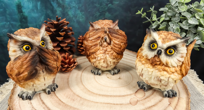 Wisdom Of The Forest See Hear Speak No Evil Great Horned Owls Figurine Set Owl