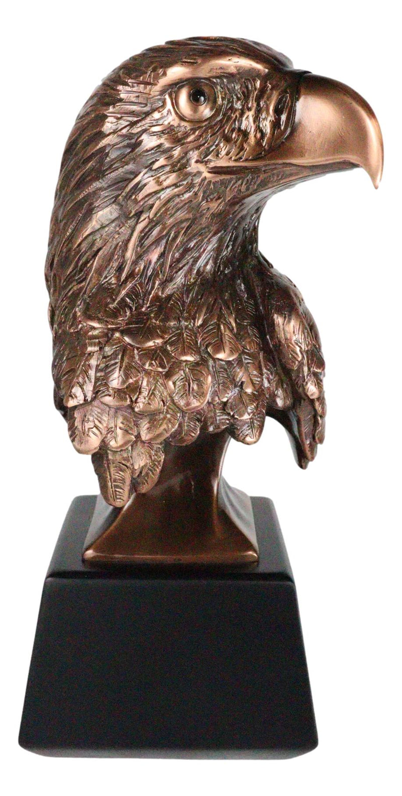 8.25"H Majestic Royal Bald Eagle Stoic Head Bust Taxidermy Figurine With Base