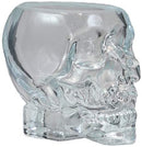 Ebros Set of 2 Translucent Acrylic Skeleton Skull Face Liquor Shot Glass Shooters