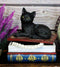 Wicca Mystical Black Cat Sitting On Book Of Spells Stack Decorative Jewelry Box