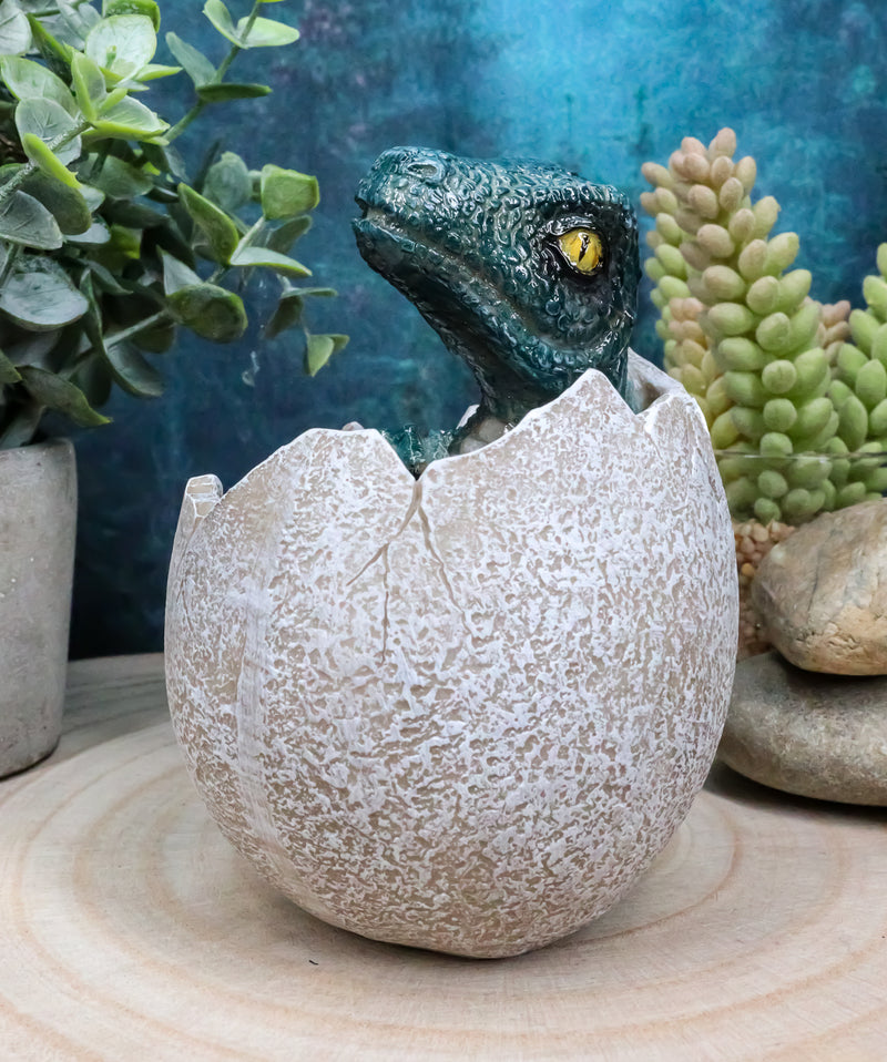 Jurassic Era Predator Velociraptor Hatchling Egg Dinosaur Figurine Collectible