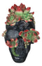 Day of The Dead Flora And Fauna Black Skull With Budding Succulents Figurine