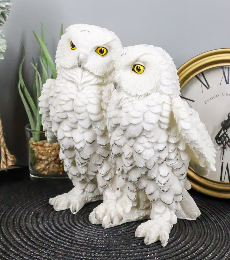 Couple Owl Toilet Paper Holder Decorative, Bathroom Animal Wall