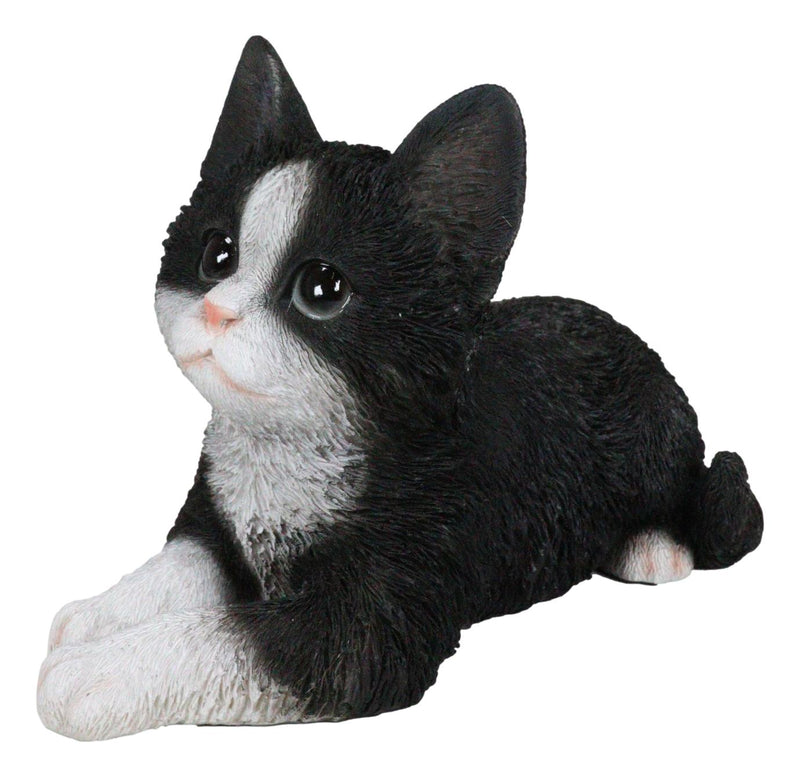 Resting Feline Gray Tabby Cat Kitten Figurine With Realistic Glass Eyes  Decor 