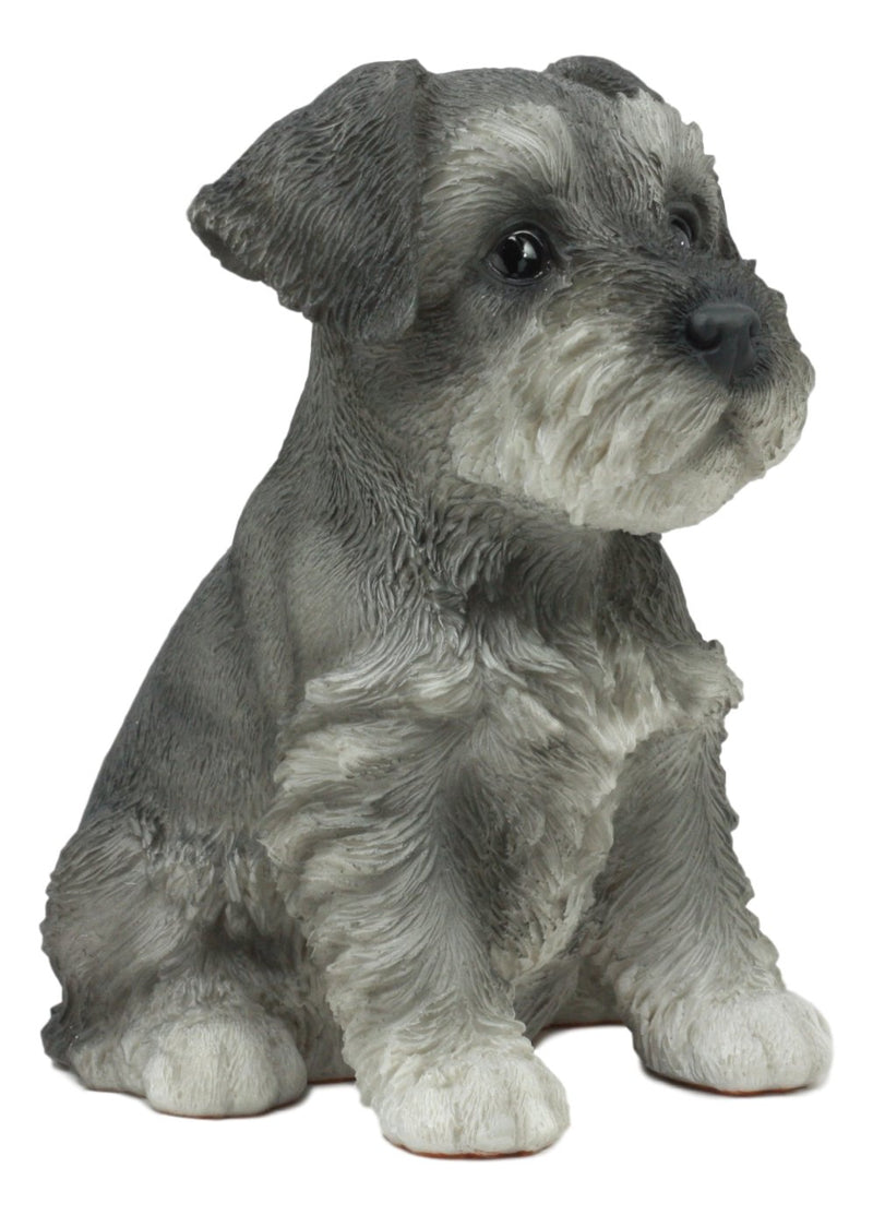 Ebros Realistic Miniature Schnauzer Puppy Statue 6.5"Tall Animal Dog Collectible