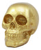 Pirate's Loot Gold Skull Statue Day Of The Dead Skull Head Gothic Resin Figurine