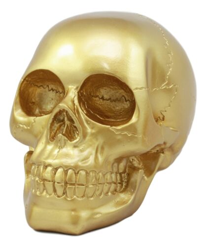 Pirate's Loot Gold Skull Statue Day Of The Dead Skull Head Gothic Resin Figurine