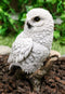 Ebros Snowy Tundra White Owl Perching On Tree Branch Statue 6.5"Tall Figurine