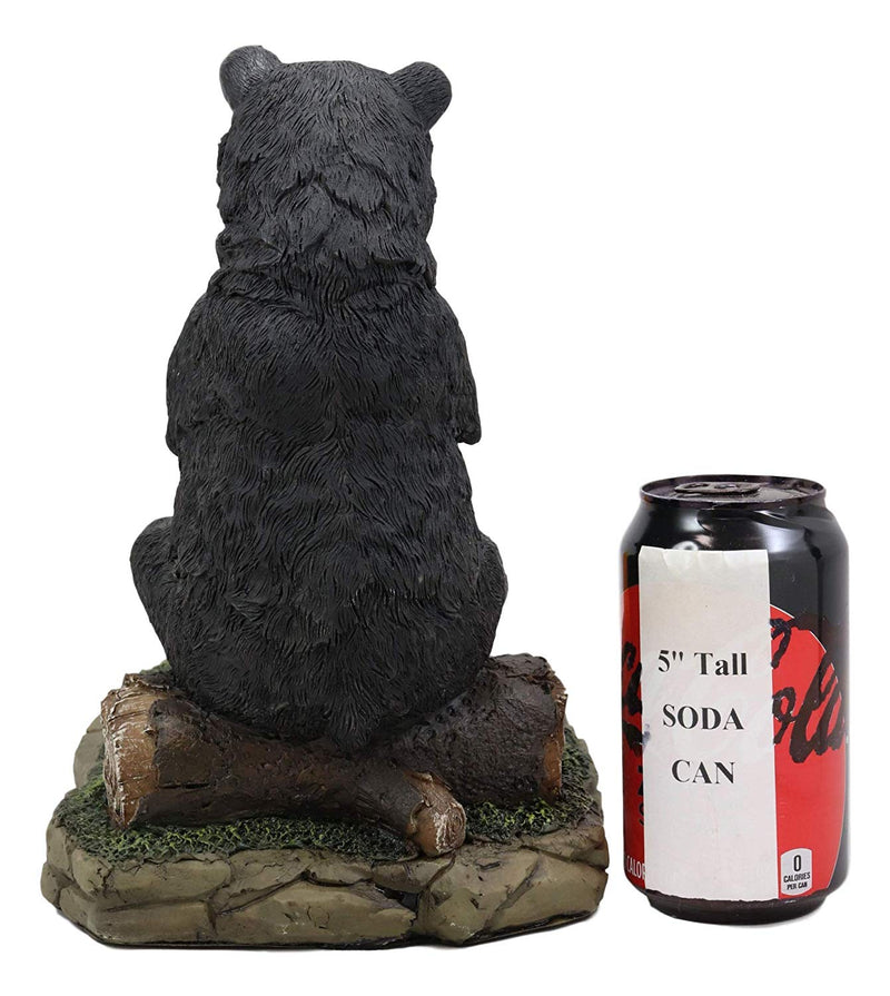 Ebros Rustic Forest Black Bear Warming Hands By Campfire LED Night Light Statue