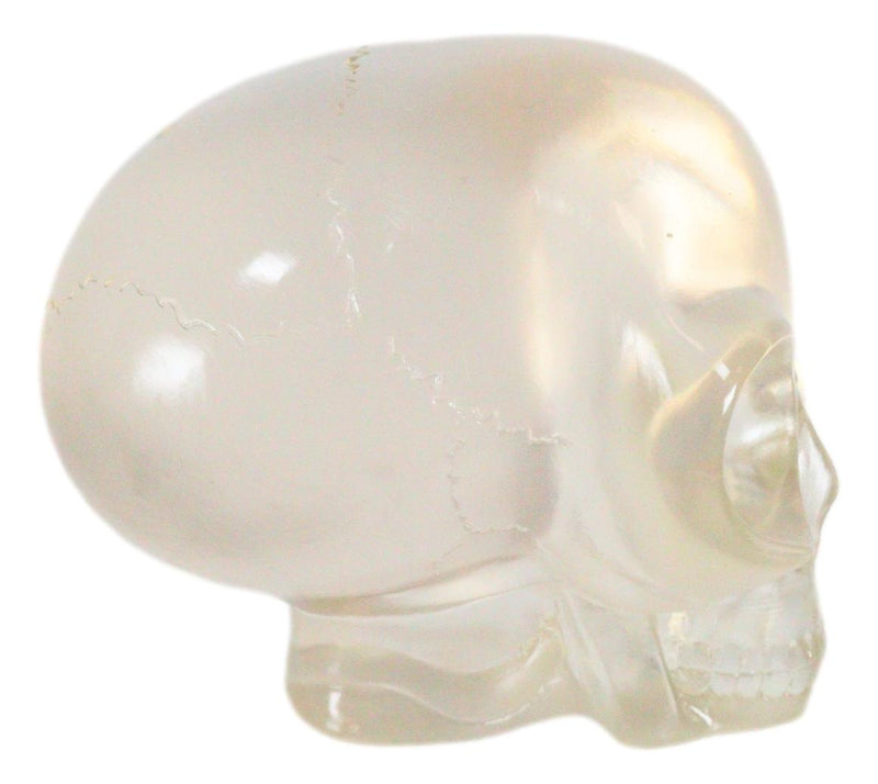 Ebros Small Clear Translucent Extraterrestrial ET Alien Skull Sculpture Predator UFO Cranium Statue Collectible 3.5"L