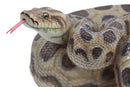 Large Lifelike Python Statue Realistic Snake Taxidermy 3D Figurine 17.5"Wide