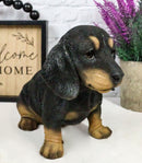 Ebros Realistic Black And Tan Dachshund Puppy Statue 8"L Schnitzel Sausage Wiener Dog