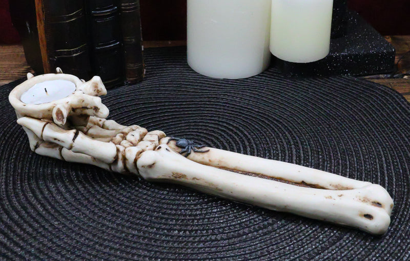 Gothic Spider Skeletal Hand Candle Holder 10"L Bone Hand Votive Holder