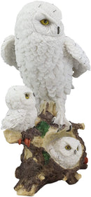 Ebros White Owl Perching On Tree Branch With Baby Owlets Statue 12"Tall