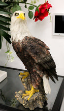 Large Realistic American Bald Eagle Bird Perching On Rock Decorative Figurine