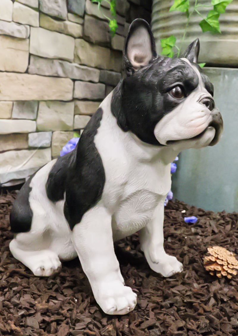 Realistic Sitting Black French Bulldog Puppy Dog With Glass Eyes Statue Pet Pal