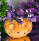 Small Sparkly Purple Whimsical Dragon Baby Emerging From Spotted Egg Figurine