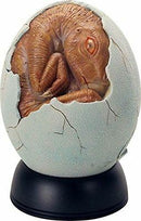 5.25 Inch Brown Rust Colored Baby Dinosaur Cracked Egg Hatchling