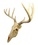 Ebros Rustic Hunter Rack Deer Skull Antler Wall Plaque Decor 10 Point Buck Figurine