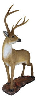 Large 8 Point Trophy Stag Buck Whitetail Deer Statue 26"H Forest Cabin Lodge