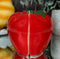 Ebros Red Apples Ceramic Magnetic Salt And Pepper Shakers Set 3" Height