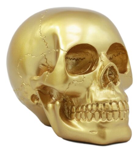 Pirate's Loot Gold Skull Statue Day Of The Dead Skull Head Gothic Resin Figurine