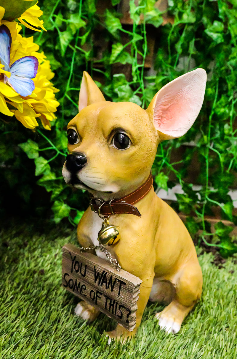 Spicy Mexican Short Coat Chihuahua Dog Large Figurine W/ Welcome Sign Statue