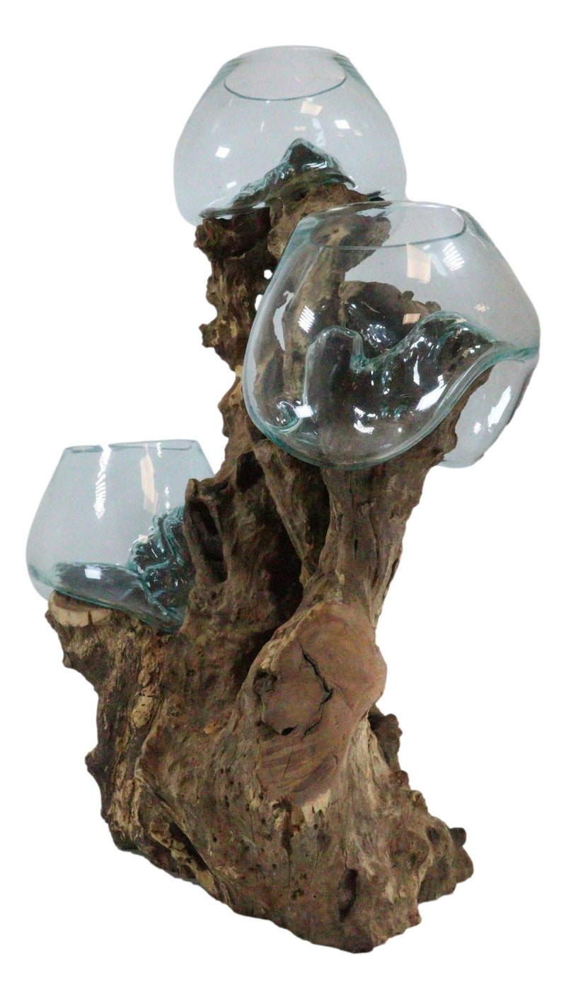 Balinese Gamal Wood Driftwood With Fitted Hand Blown Triple Glass Bowls Vase