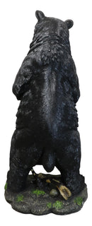 Large 31"H Western Rustic Forest Standing Black Bear Statue Cabin Lodge Accent