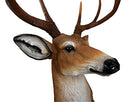 Ebros 8 Point Buck Deer Bust Champion Wall Mount Sculpture Plaque Figurine 21"H