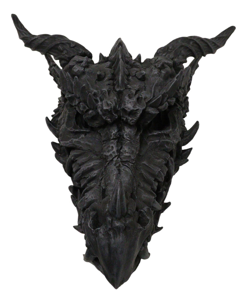 Oversized Giant 27"L Dragon Black Fossil Skull With Horns Grendel Drake Statue