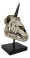 Rare Fossil Unicorn Skull With Sacred Horn Skull Figurine On Museum Pole Mount