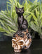 Wicca Magic Black Mystical Cat Sitting On Skull With Poison Roses Mini Figurine