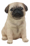 Ebros Lifelike Sitting Pug Dog Statue 6" Tall Pet Pal Figurine with Glass Eyes