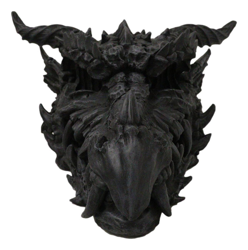 Oversized Giant 27"L Dragon Black Fossil Skull With Horns Grendel Drake Statue