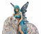 Large Blue Frost Fairy Riding Snow Leopard Statue Home Decor Mythical Fantasy