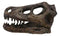 Faux Taxidermy Replica Velociraptor Dinosaur Head Fossil Small Skull Figurine