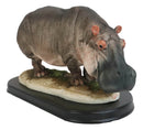 African River Common Hippopotamus Statue On Black Gallery Base 11"L Hippo Decor