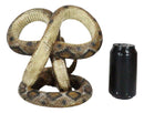 Rustic Western Coiled Diamondback Rattlesnake Snake Double Wine Bottles Holder