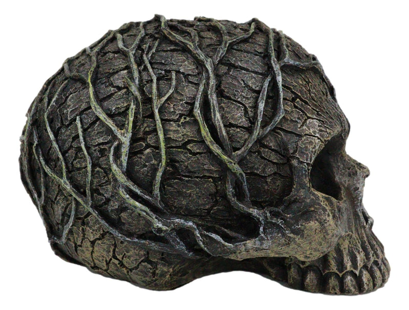 Ebros Tree Spirit Dryad Skull Collectible Figurine Desktop Home 